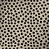 Cheetah Spots Surface Book 2 13.5in Skin